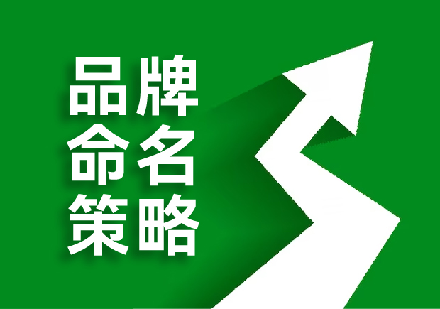 品牌命名的策略是什么，核心原則是這六點！