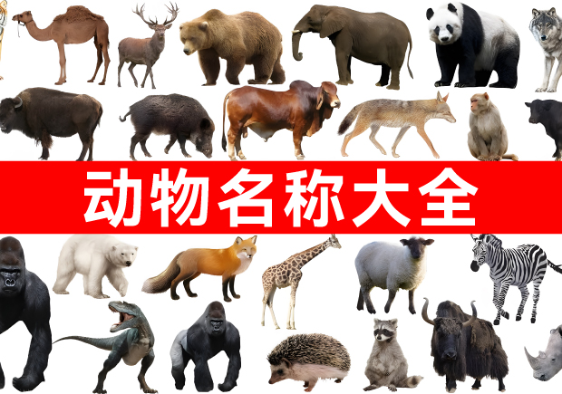 我們正在構建網絡上最全面的動物名稱庫！.jpg