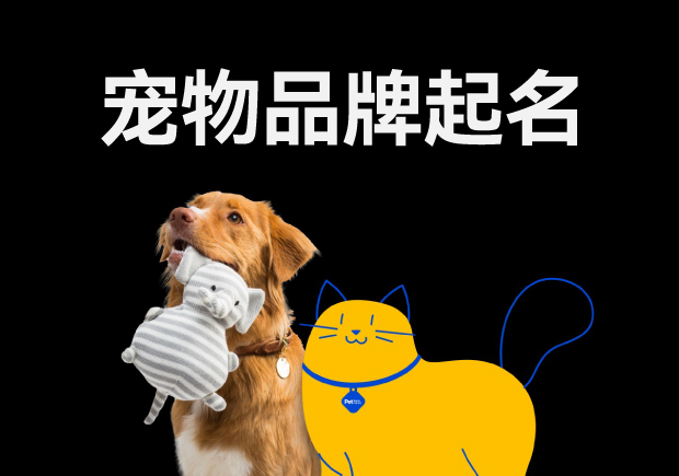寵物品牌起名怎么取：好名字是創意與市場的完美融合