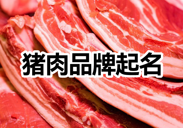 肉食新篇章：探索豬肉品牌取名的創意與市場洞察