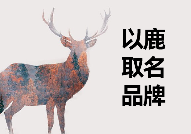 以鹿取名品牌的技巧與創意名稱參考