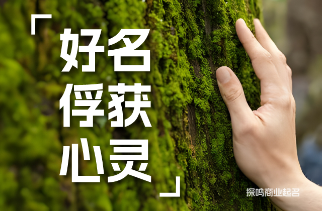 農副產品商標名字起名的法律考量.jpeg