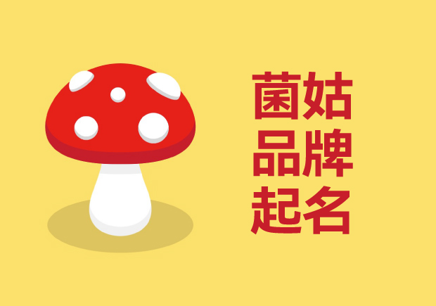 菌類品牌起名：打造獨特蘑菇品牌形象的實戰策略